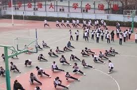 中国棒球青训商业逻辑