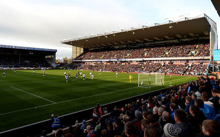 在这片绿草 在这片绿草