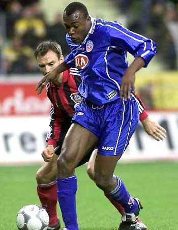 供了启示 供了启示