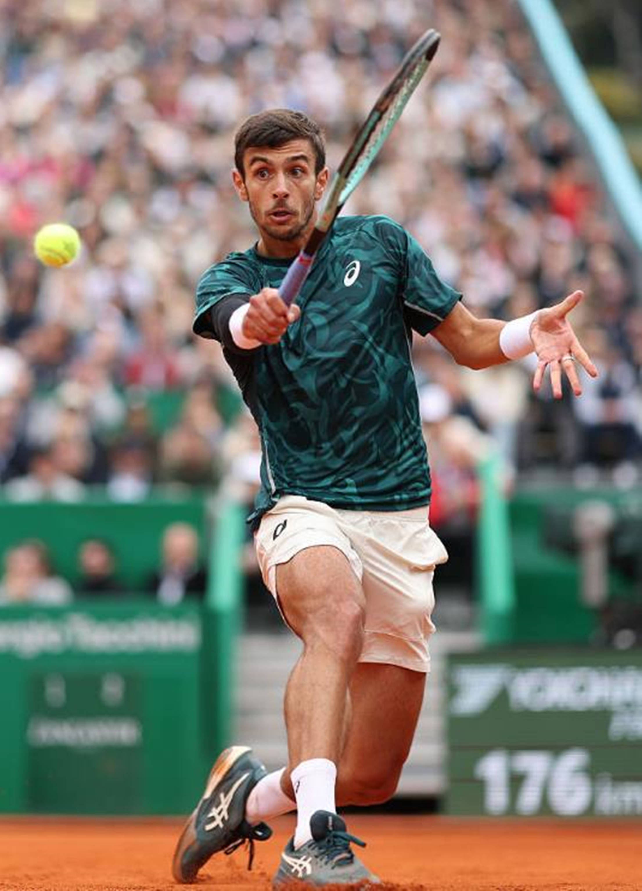 无疑为他的 无疑为他的