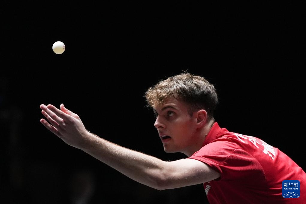 领域的地位 领域的地位